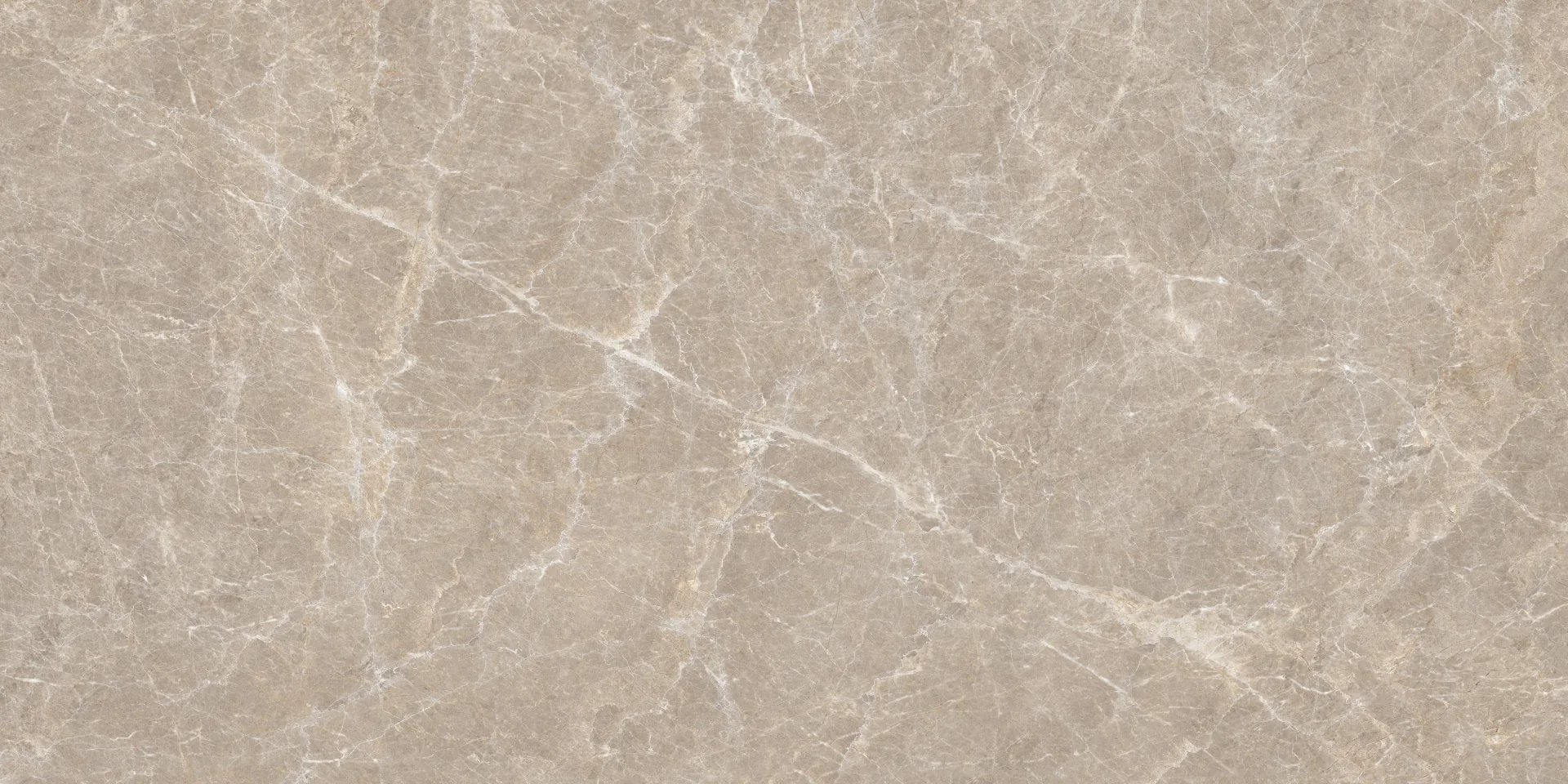 ARDOUR TAN Design