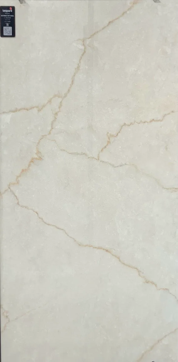 ASTONIA NATURAL In a room