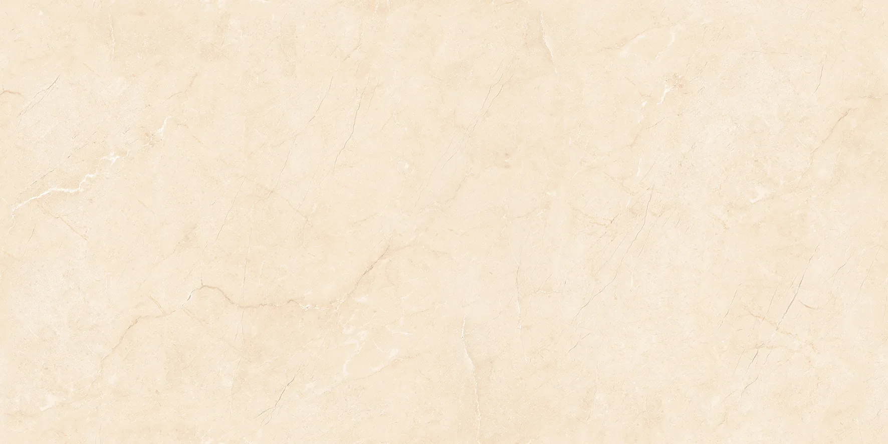 BELGIAN CREMA Design