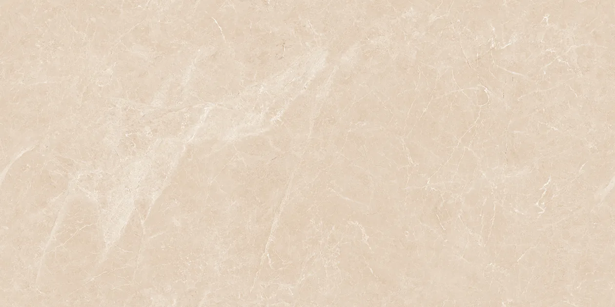BERLINE CAMEL Design