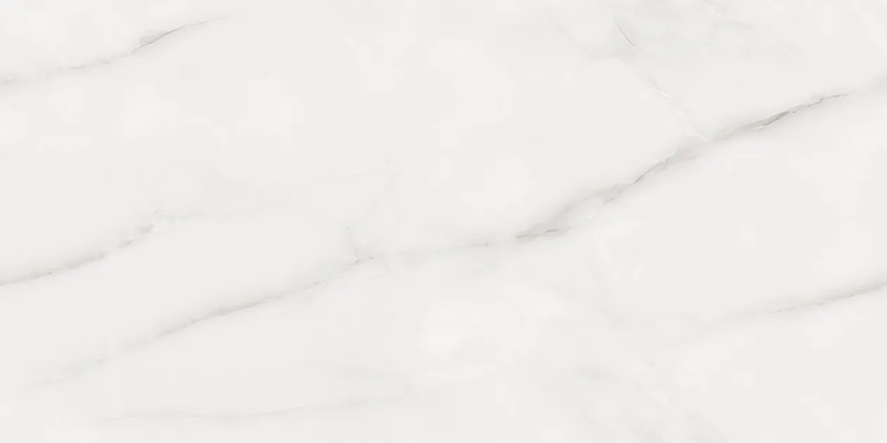 CENIA WHITE Design