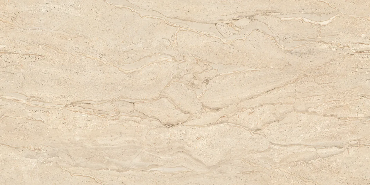 DYNO BEIGE Design