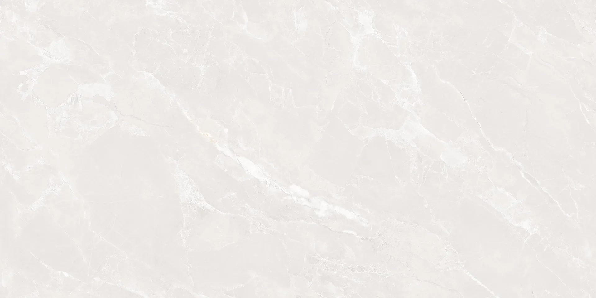 ENCILLIA BIANCO Design