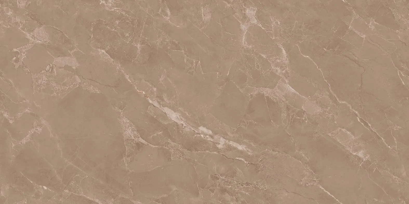 ENCILLIA TAUPE Design