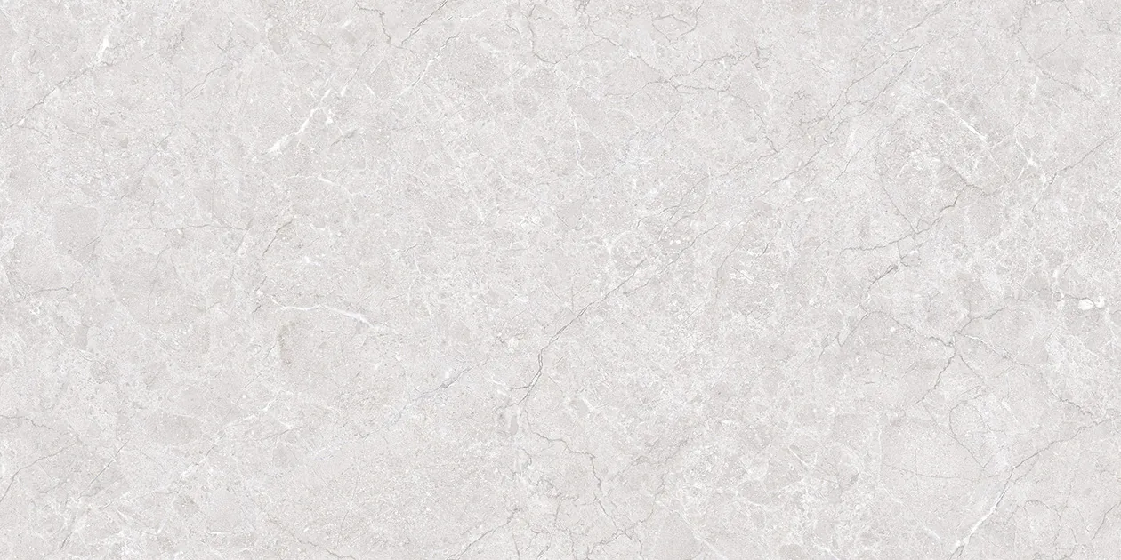 LISA SILVER Design