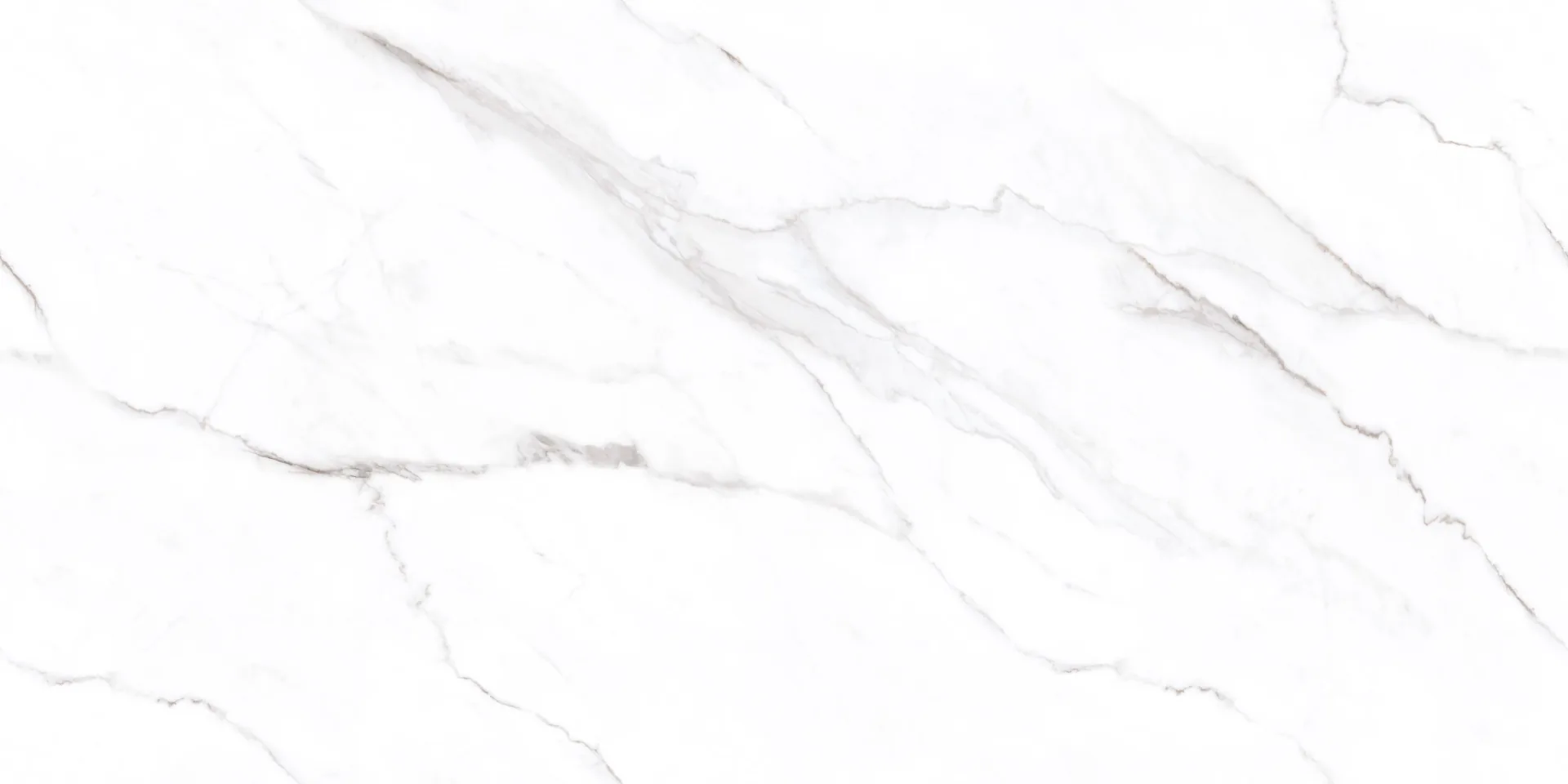 MOON WHITE Design