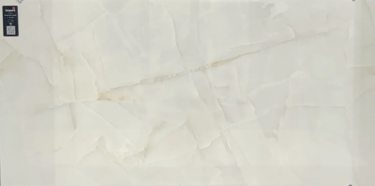 OYSTER ONYX CREMA In a room