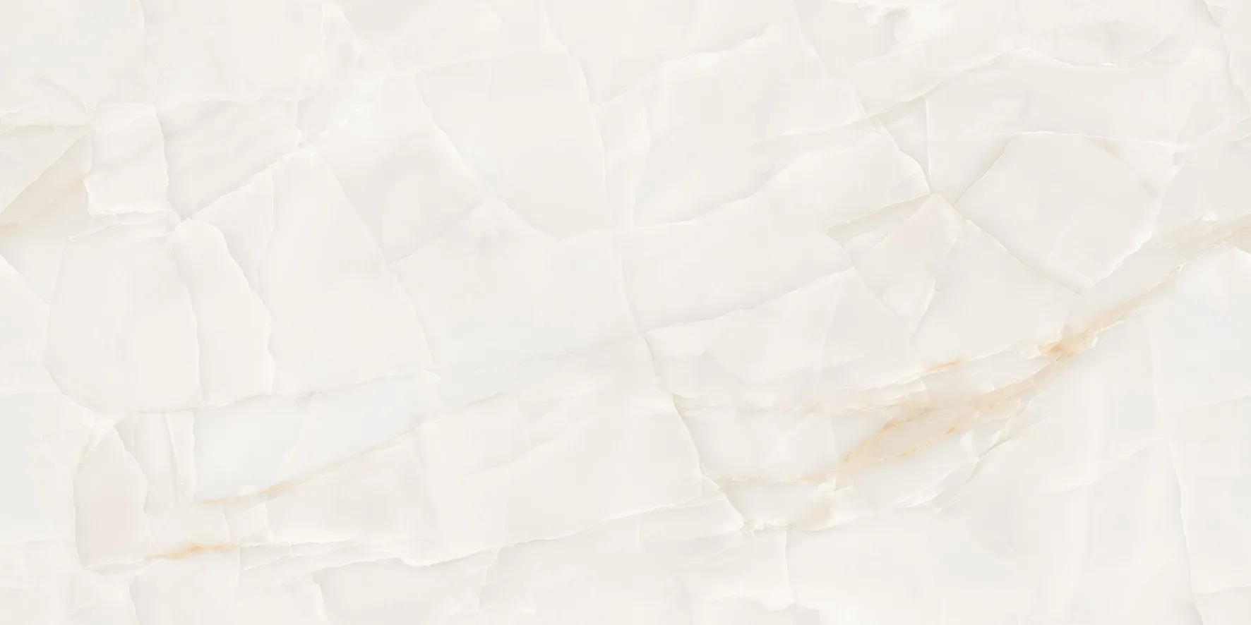 OYSTER ONYX CREMA Design