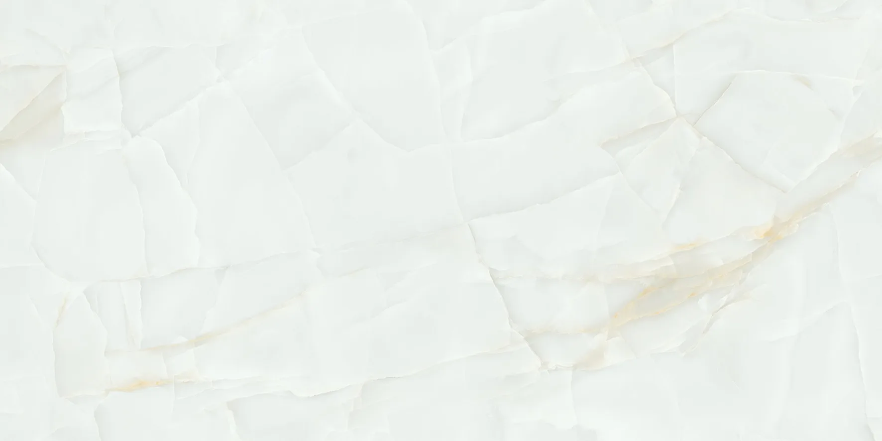OYSTER ONYX MINT Design