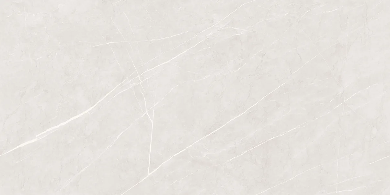 PIETRA SILVER Design