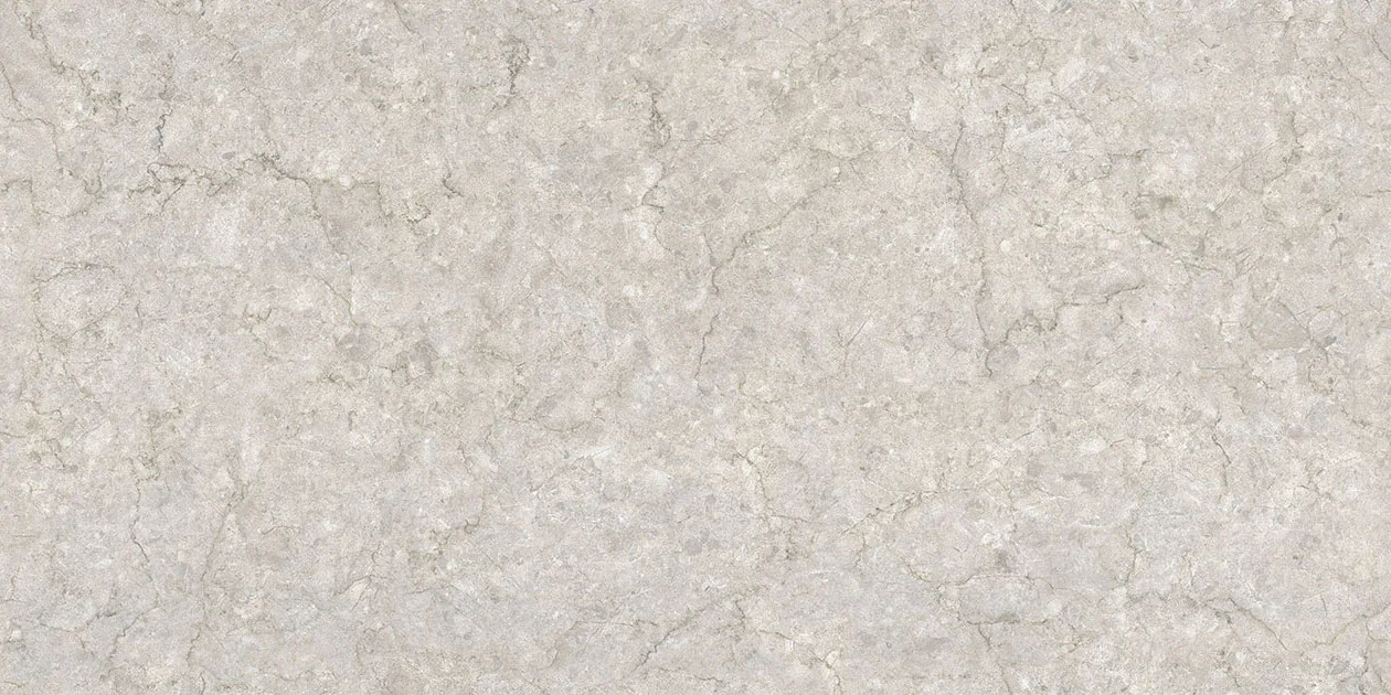 POLARIS SILVER Design