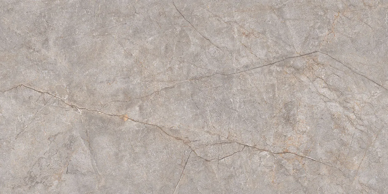 SILVER RIVER Design