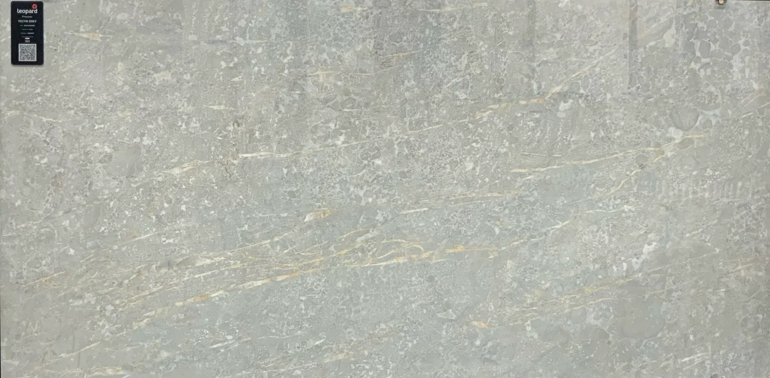 TECTIS GREY In a room