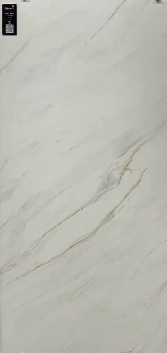 ARBES WHITE In a room