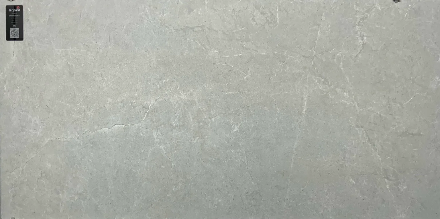 ARISTO GREY In a room