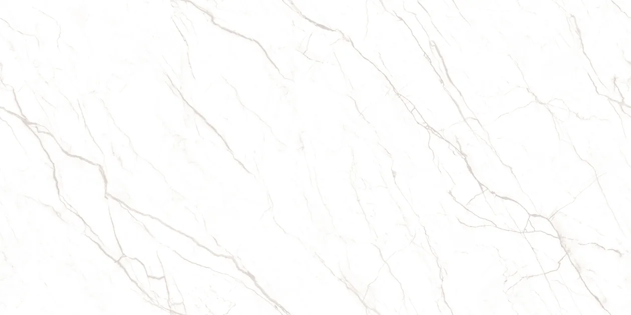 CARLO SILVER Design