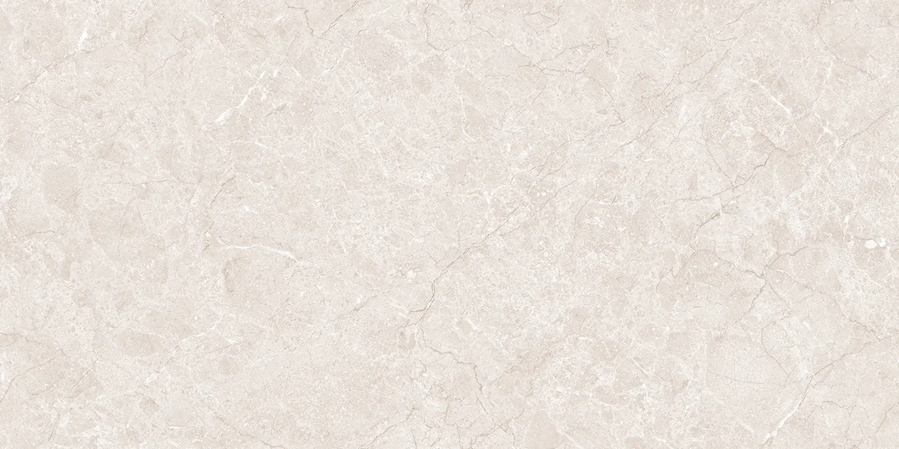 LISA SILVER Design