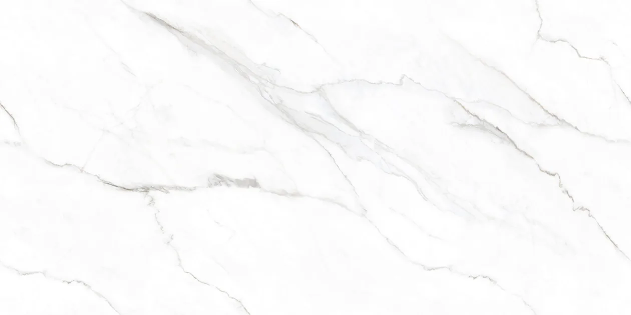 MOON WHITE Design