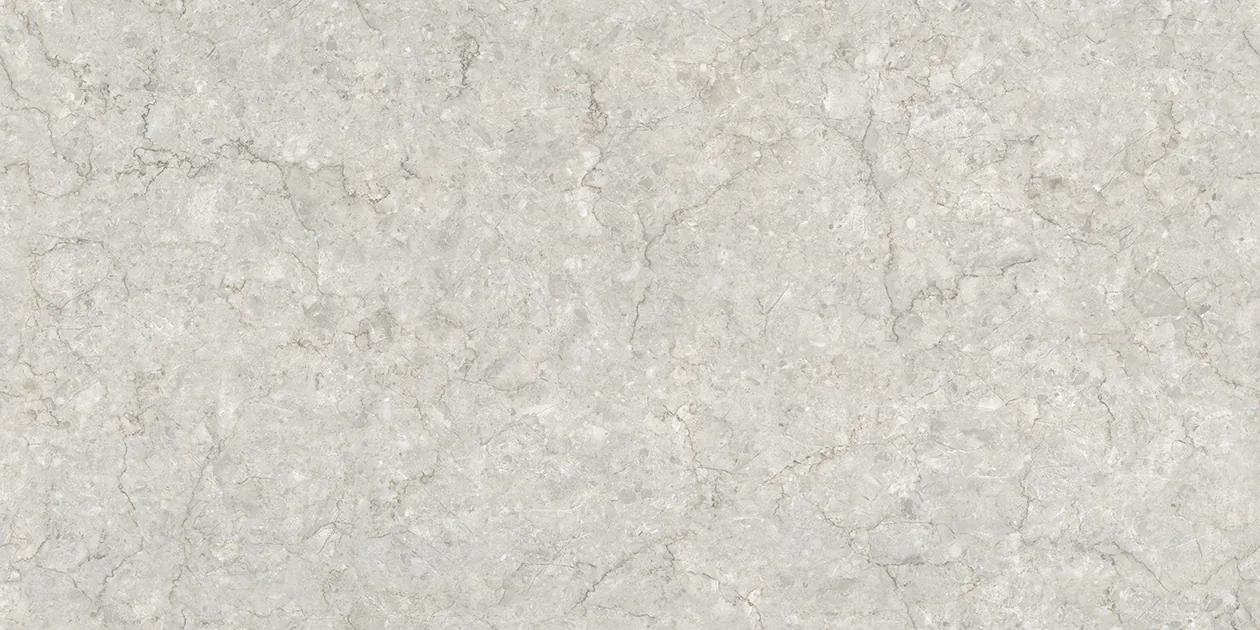 POLARIS SILVER Design